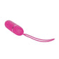 7 Function Lovers Bullet with Remote Control