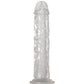 Adam and Eve Crystal Clear Dong
