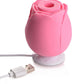 Bloomgasm The Rose Lover's Gift
