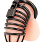 Deluxe Chastity Cage