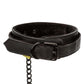 Boundless Collar and Leash