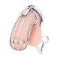 Cock Cage with Anal Stimulator