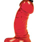 Dicky Chug Sports Bottle - Red - 16 Ounce