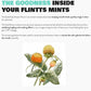 Flintts Mints Mouth Watering Oral Delights - Lemon