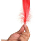 Frisky Anal Itch Relief Inc Prank Gift