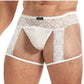 Lace King Men's Lace and Mesh Garter Panty - Black/White - Medium/Small
