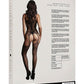 Le Desir Fishnet and Lace Bodystocking