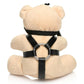 Master Series BDSM Teddy Bear Keychain