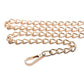 Master Series Chain Leash