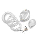 Master Series Double Lockdown Locking Customizable Chastity Cage