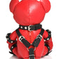 Master Series Gimp Bear