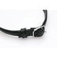Master Series Heart Lock Choker with Keys