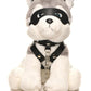 Master Series Max The Fetish Pup - Grey/White