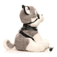 Master Series Max The Fetish Pup