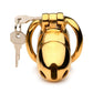 Master Series Midas 18k Gold-Plated Locking Chastity Cage