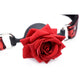 Master Series Silicone Ball Gag