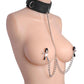 Master Series Submission Collar and Nipple Clamp Union