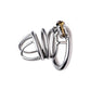 Master Series The Pen Deluxe Locking Chastity Cage