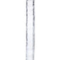 ME YOU US Ultracock Jelly Double Ender - Clear - 12in