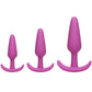 Mood Naughty 1 Trainer Silicone Anal Plug - Pink - Large/Small - 3 Piece Set
