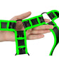 Ouch! Bonded Leather Body Harness