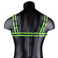 Ouch! Buckle Harness