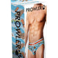 Prowler Gaywatch Bears Brief - Blue/Orange - Small