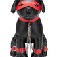 Prowler Red Captain Chains - Black/Red