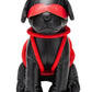 Prowler Red Roped Up Rover - Black/Red