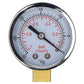 Pumped Lite Beginners Pump with Psi Gage