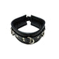 Rouge 3 D-Ring Padded Leather Adjustable Collar