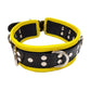 Rouge 5 D Ring Leather Collar - Black/Yellow