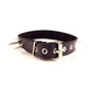 Rouge Adjustable Leather Spiked Collar - Black