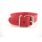 Rouge O Ring Studded Adjustable Leather Collar - Red