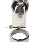 Rouge Stainless Steel Chastity Cock Cage with Padlock