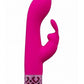 Royal Gems Royal Rabbit Rechargeable Silicone Vibrator