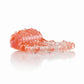 Screaming O Ring Vibrating Disposable