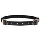 Sex and Mischief Double Buckle Day Collar