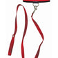 Sex and Mischief Leash and Collar