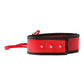 Sex and Mischief Leash and Collar