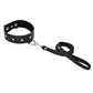 Sportsheets Leather Leash and Collar