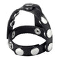 Strict Leather Snap-On Cock and Ball Harness