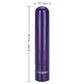 Tiny Teasers Rechargeable Bullet