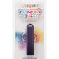 Turbo Buzz Rechargeable Rounded Bullet - Purple