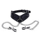 Velvet Noir Collar and Removable Clamps