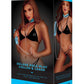 WhipSmart Glow In The Dark Deluxe Collar and Leash - Blue/Glow In The Dark